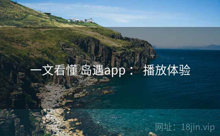 一文看懂 岛遇app ： 播放体验