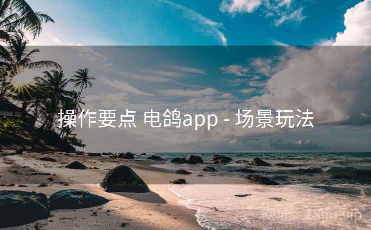 操作要点 电鸽app - 场景玩法  第2张