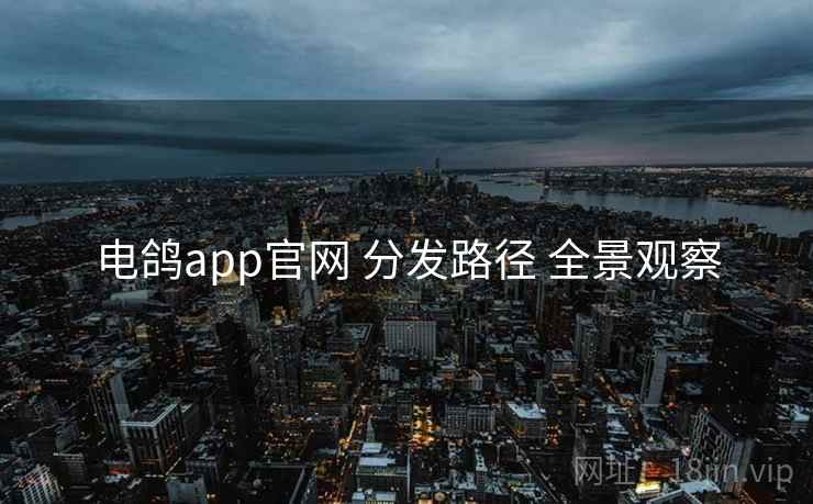 电鸽app官网 分发路径 全景观察