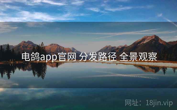 电鸽app官网 分发路径 全景观察