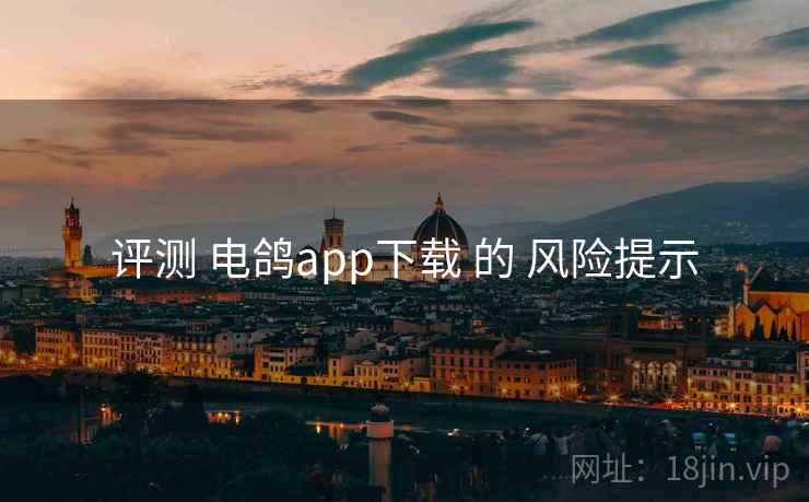 评测 电鸽app下载 的 风险提示