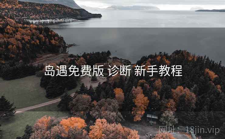 岛遇免费版 诊断 新手教程