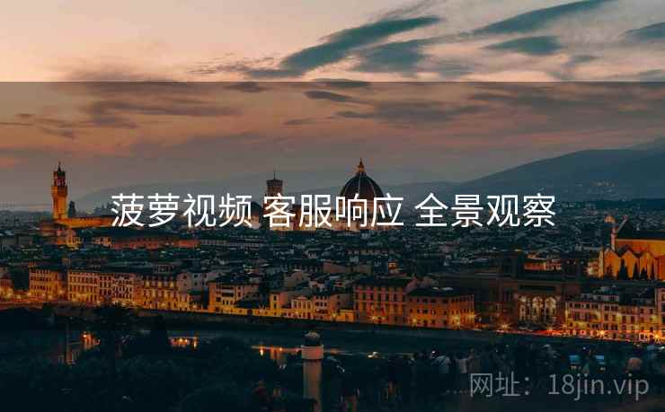 菠萝视频 客服响应 全景观察