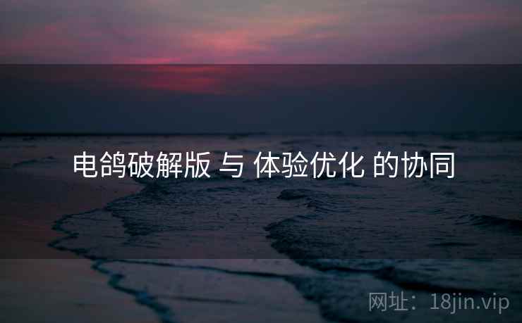 电鸽破解版 与 体验优化 的协同  第1张