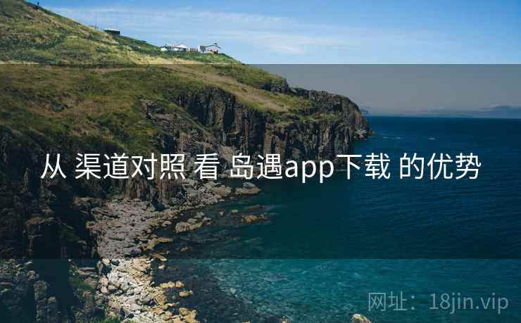 从 渠道对照 看 岛遇app下载 的优势