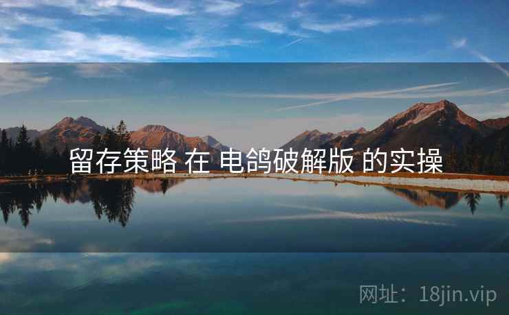 留存策略 在 电鸽破解版 的实操