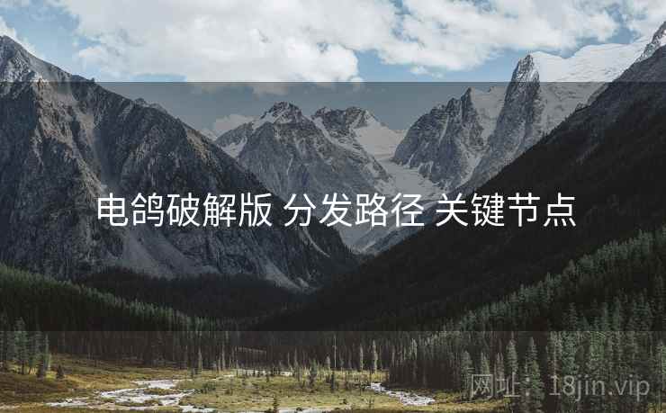 电鸽破解版 分发路径 关键节点