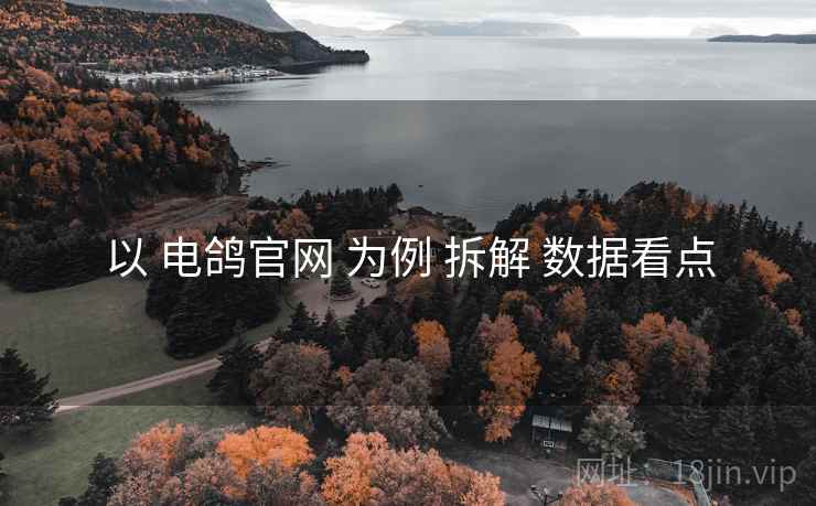 以 电鸽官网 为例 拆解 数据看点  第1张