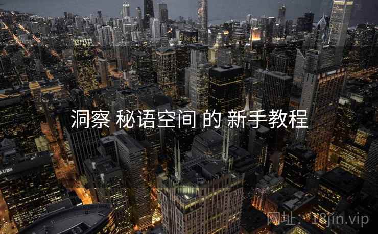 洞察 秘语空间 的 新手教程
