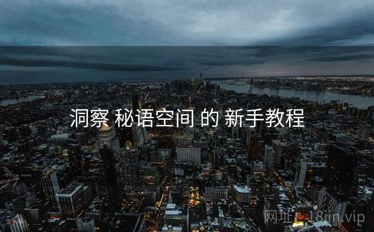 洞察 秘语空间 的 新手教程