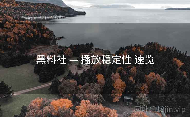 黑料社 — 播放稳定性 速览  第1张