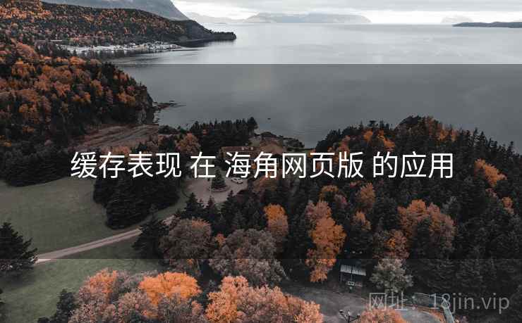 缓存表现 在 海角网页版 的应用