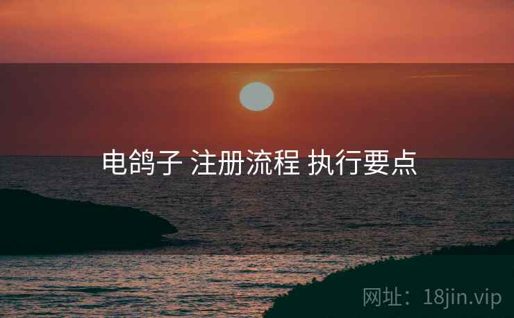 电鸽子 注册流程 执行要点