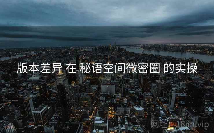 版本差异 在 秘语空间微密圈 的实操